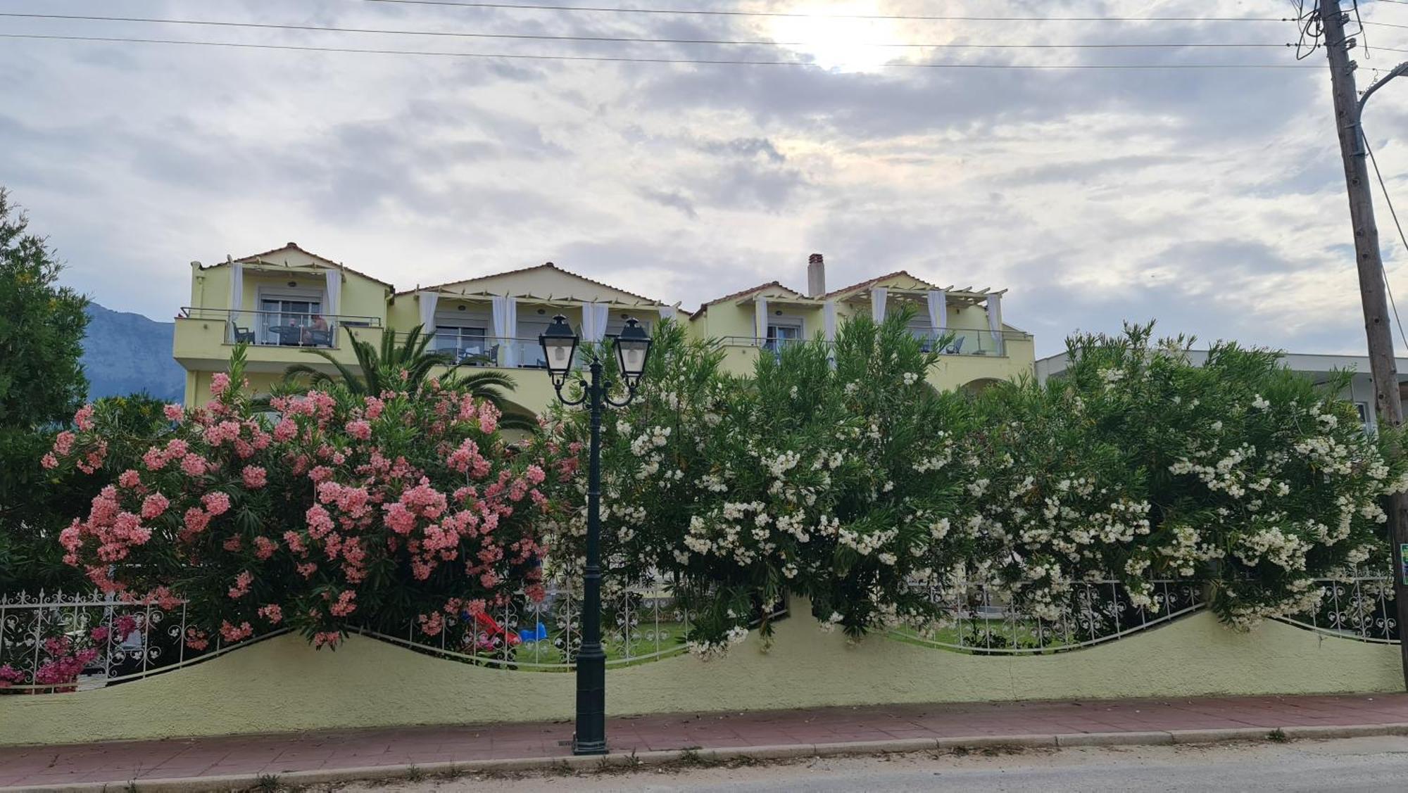Studios Rania Skala Potamia  Bagian luar foto